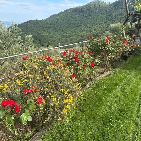 Sea View Portofino, Pool, Terrace, Garden Agroturismo *